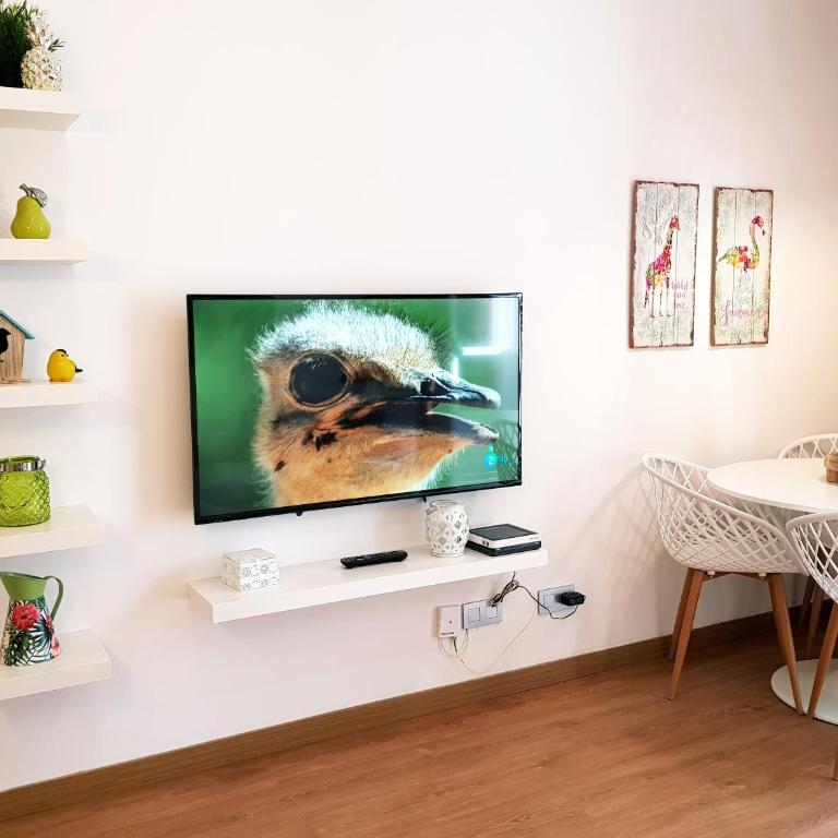Malaga Paradise (Historic centre) - Apartamento - 12