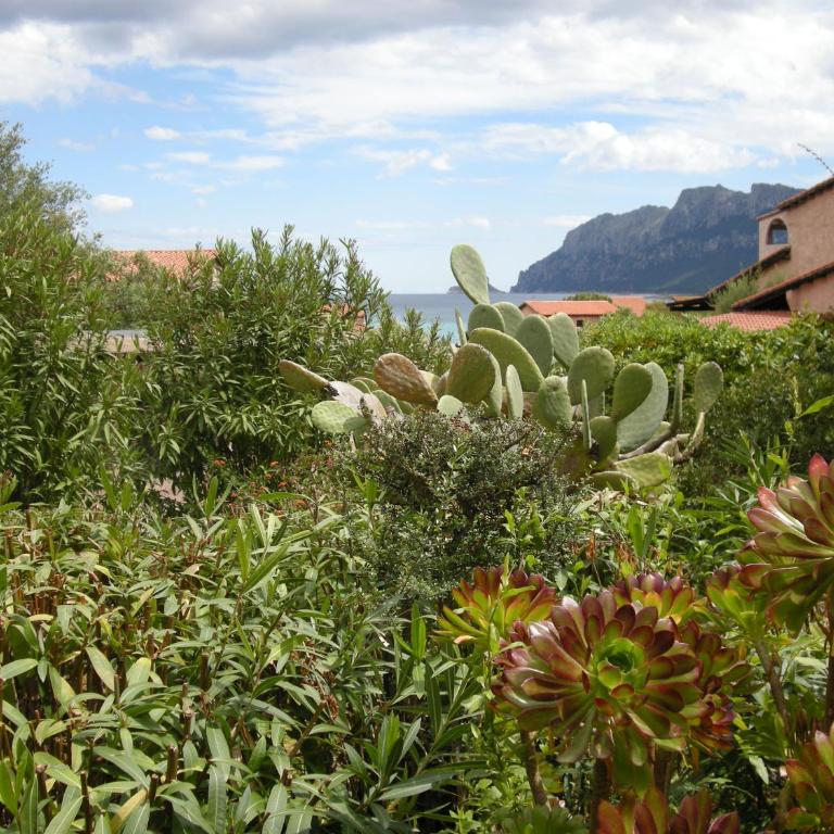 Casa Costa Corallina Mare - Casa Vacanze - 21