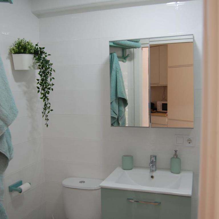 El Limonero - Apartamento de 1 dormitorio - 17