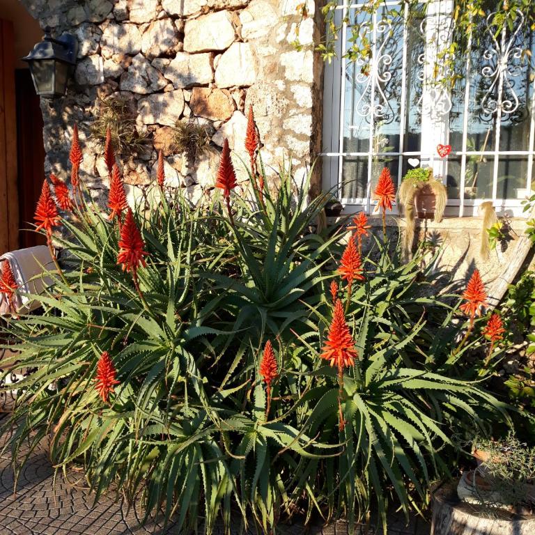 B&B Sopra il Borgo - Dreibettzimmer mit eigenem Bad - 34