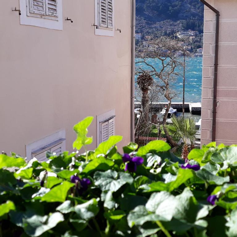 Apartments Krstos place - One-Bedroom Apartment - 7
