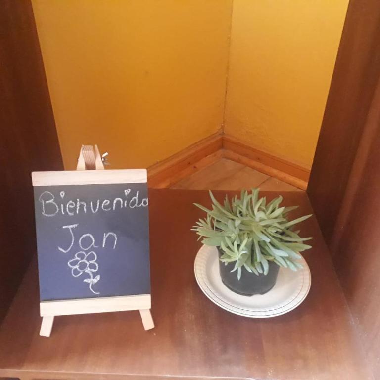 La Casa de las Flores - Standard Double Room with Shared Bathroom - 4