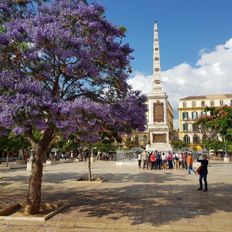 Malaga Paradise (Historic centre) - Apartamento - 26
