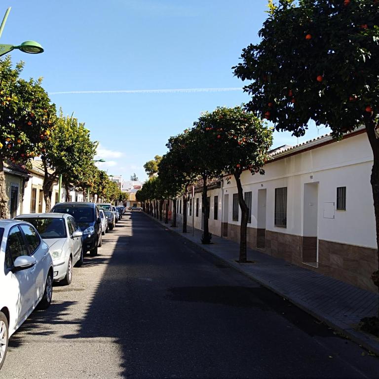 Alzahira 2 - Casa - 25