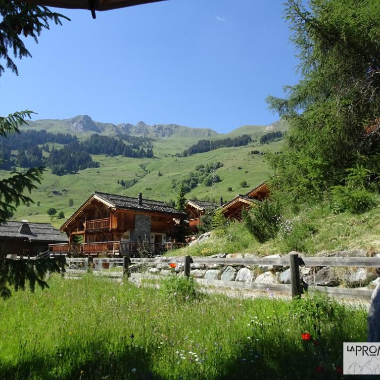 Chalet "La Promesse" - Superior Chalet - 13