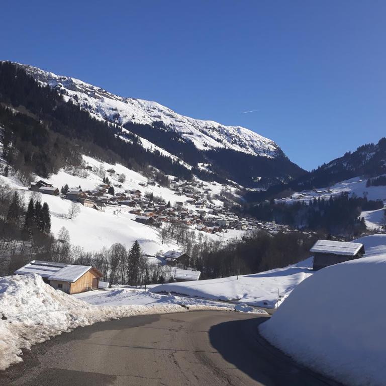 Le Chamois - Appartement 1 Chambre - 3