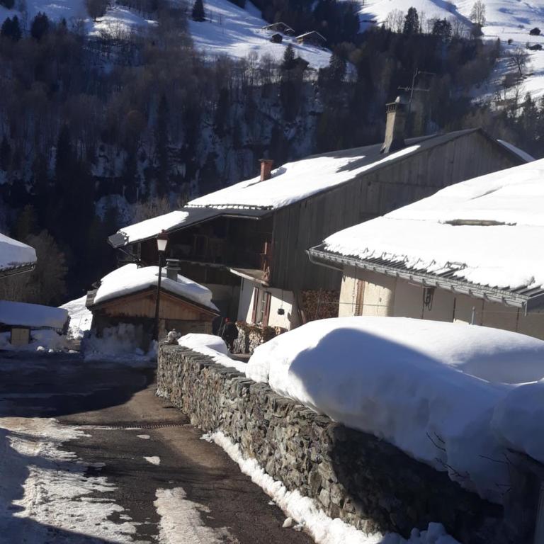 Le Chamois - Appartement 1 Chambre - 4