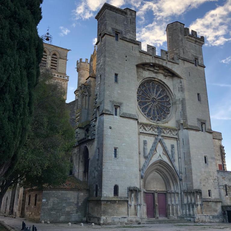 Le Logis du Chanoine, 50 m2 and terrace face to Cathedral - Appartement 1 Chambre - 38