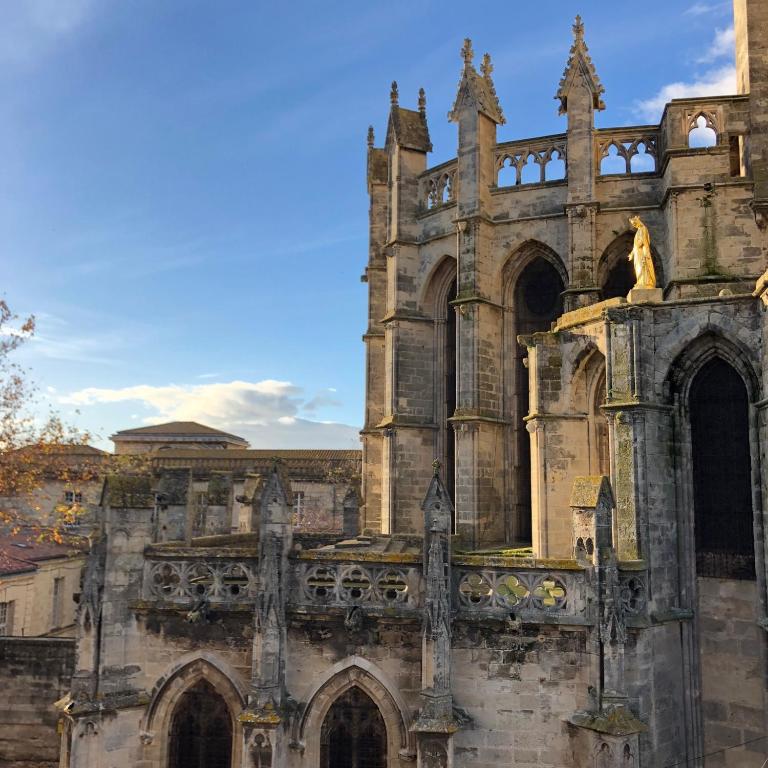 Le Logis du Chanoine, 50 m2 and terrace face to Cathedral - Appartement 1 Chambre - 22