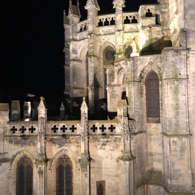 Le Logis du Chanoine, 50 m2 and terrace face to Cathedral - Appartement 1 Chambre - 24