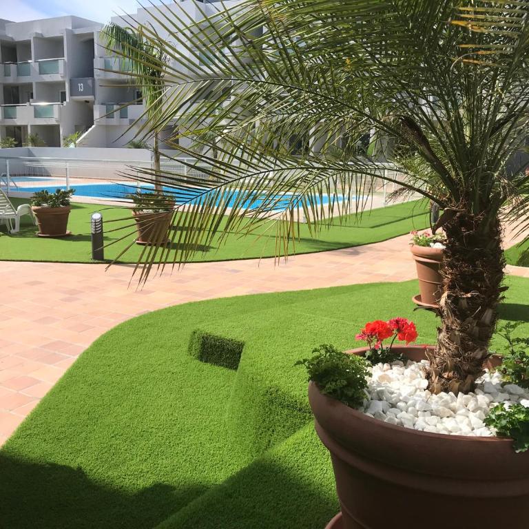 Nice and sunny apartment - Apartamento de 1 dormitorio - 1