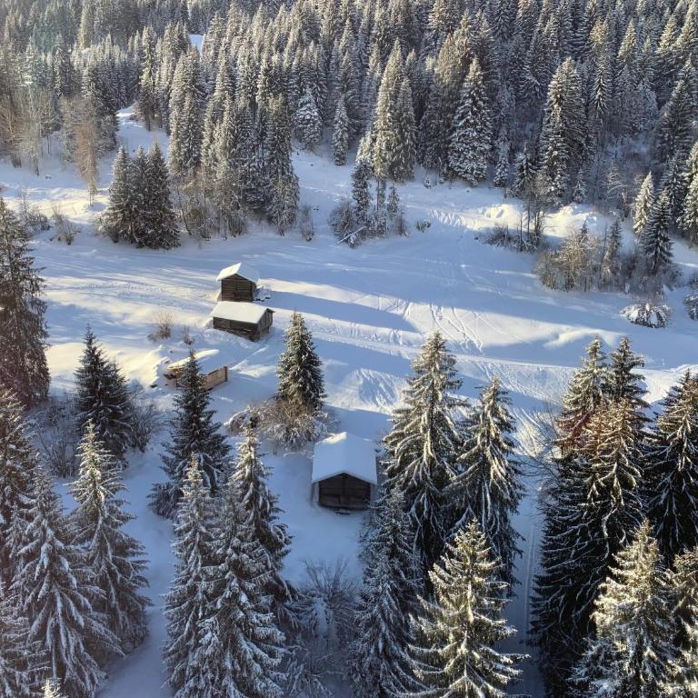 Ferienwohnung Laax mit Traumblick, großem Balkon und Terrasse - Apartment mit 2 Schlafzimmern - 47
