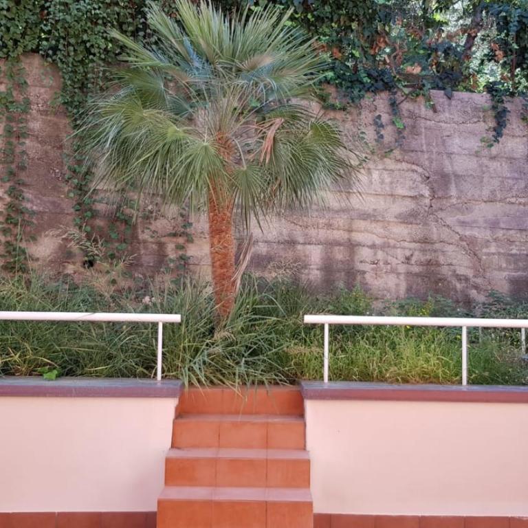 Cefalù Begonie House - Appartamento con 3 Camere da Letto - 15