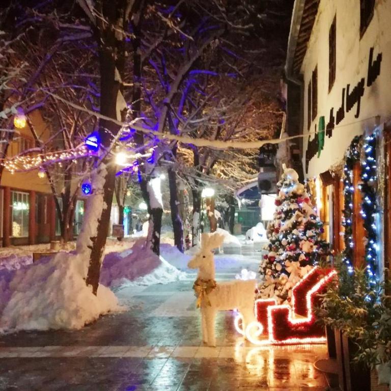 Vila Lenka Sokobanja - Apartment - Ground Floor - 12