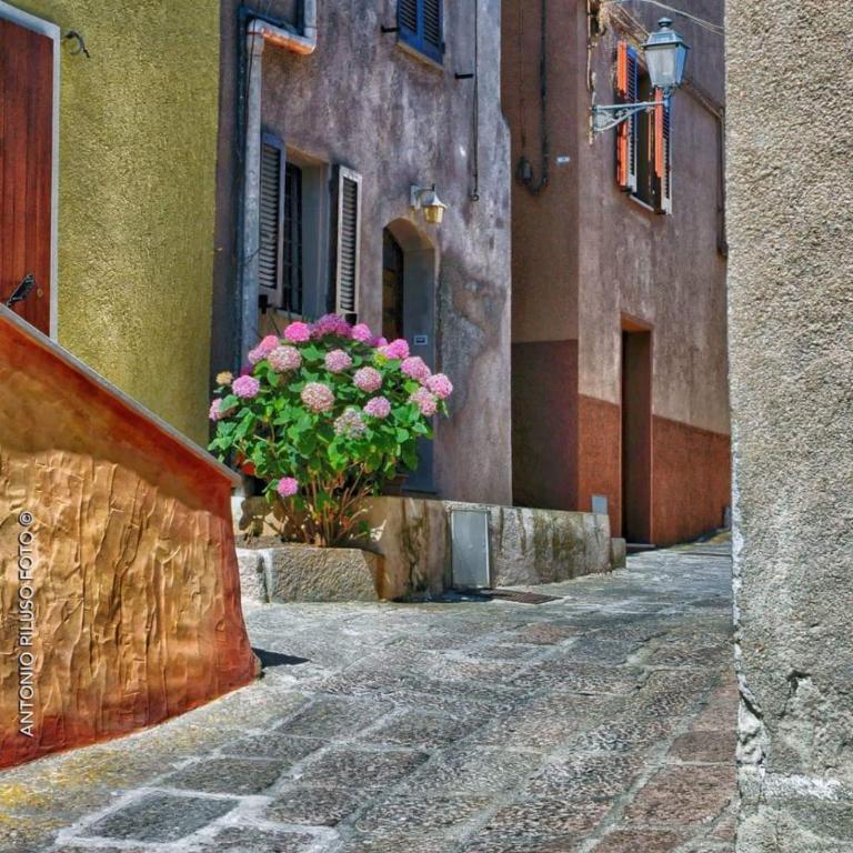La Favola di Dani - Casa con 1 Camera da Letto - 24