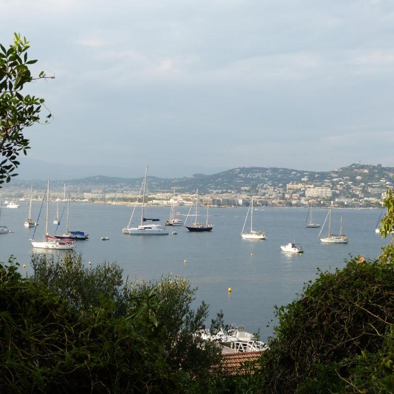 carré d'or rue d'ANTIBES à quelques pas du palais des Festivals - Apartamento de 2 dormitorios - 17