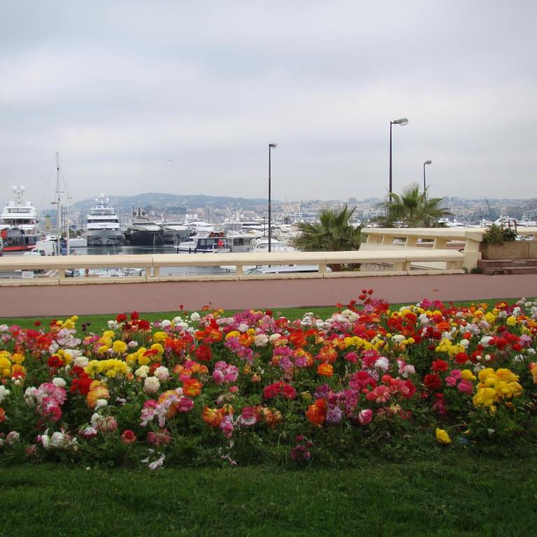 carré d'or rue d'ANTIBES à quelques pas du palais des Festivals - Apartamento de 2 dormitorios - 30