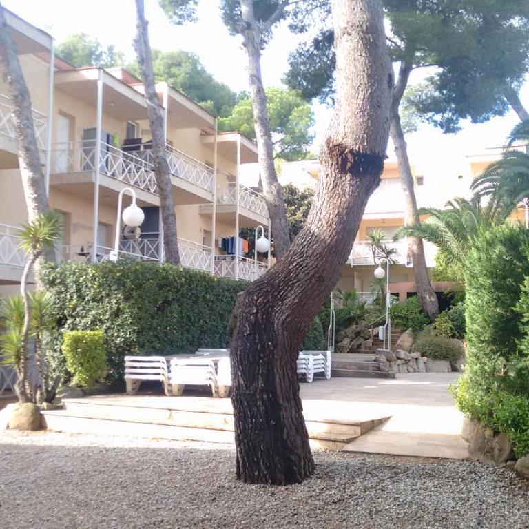 VILLAS COSETTE - Apartamento Happolon - Apartamento de 1 dormitorio - 25