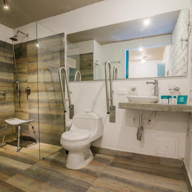 Casa Mendoza Hotel Boutique - Deluxe Double Room - Disability Access - 2