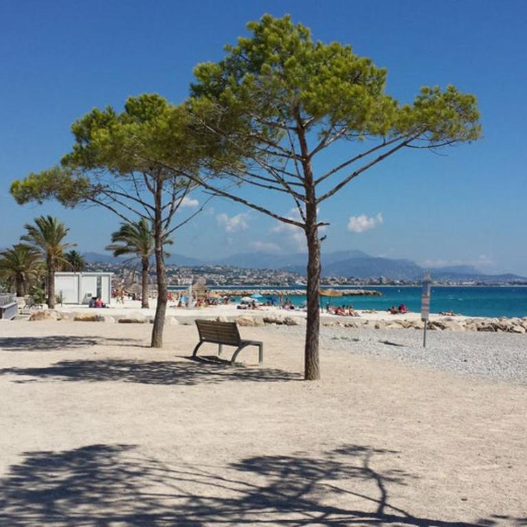 La Studette Marina 06 - Appartement 1 Chambre - 15