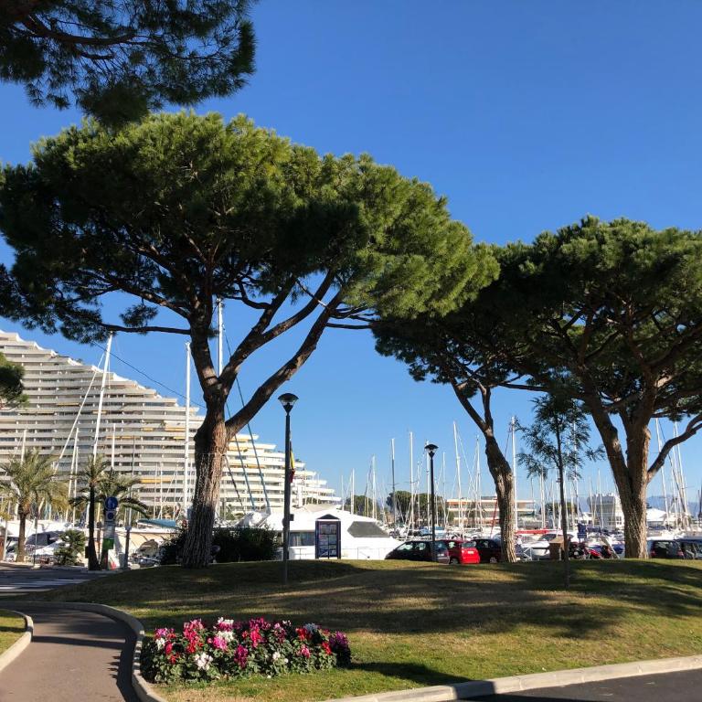La Studette Marina 06 - Appartement 1 Chambre - 13