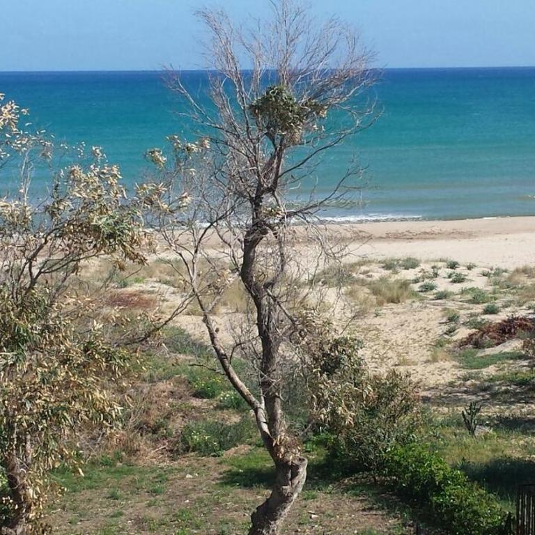Elios casevacanze sulla spiaggia - Two-Bedroom Apartment with Terrace and Sea View - 8