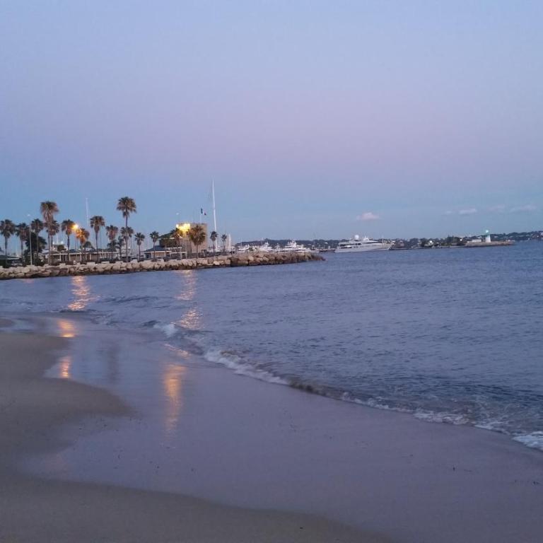 Golfe Juan Studio - Appartement - 15