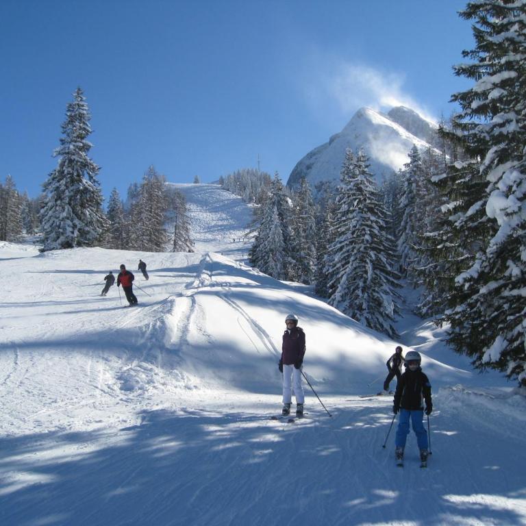 Alpenferienhaus Dachstein-West - Haus mit 3 Schlafzimmern - 14