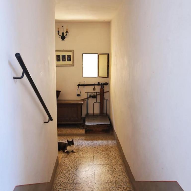 Appartamento Benozzo - Two-Bedroom Apartment - 16