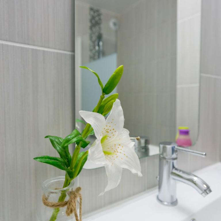 Dream destination - Apartment - Erdgeschoss - 17