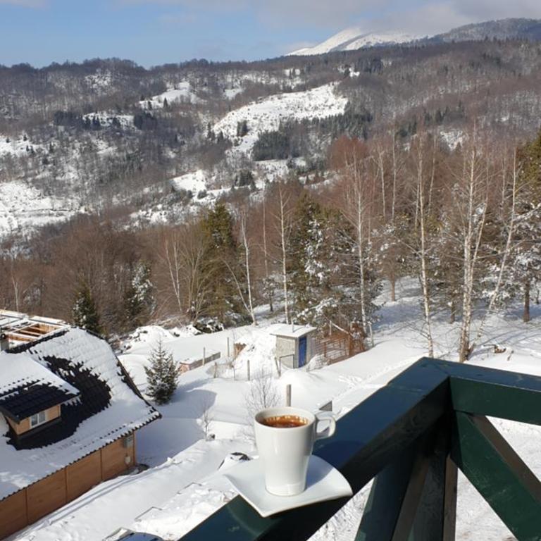 Apartman Four Seasons Kopaonik - One-Bedroom Apartment - 25