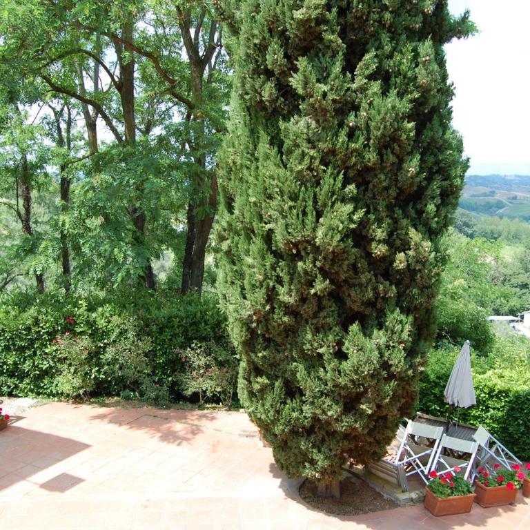La Valle Appartamenti Per Vacanze - Appartamento - Piano Terra - 1