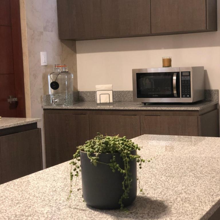 Casa 8 Amores - Two-Bedroom Apartment - 9