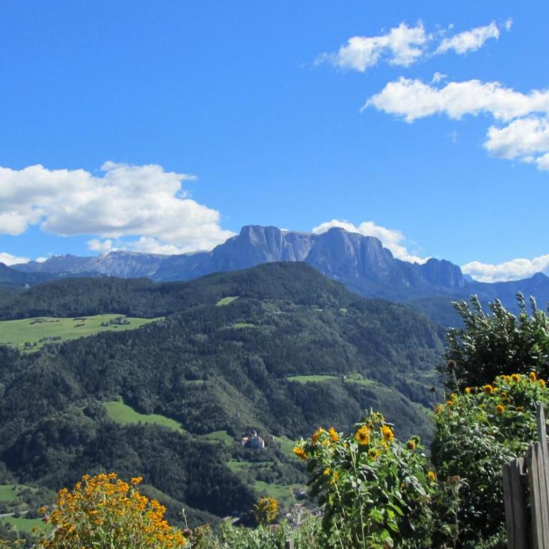 Bio Kräuterhof Oberpalwitter - Appartamento con 2 Camere da Letto - 8