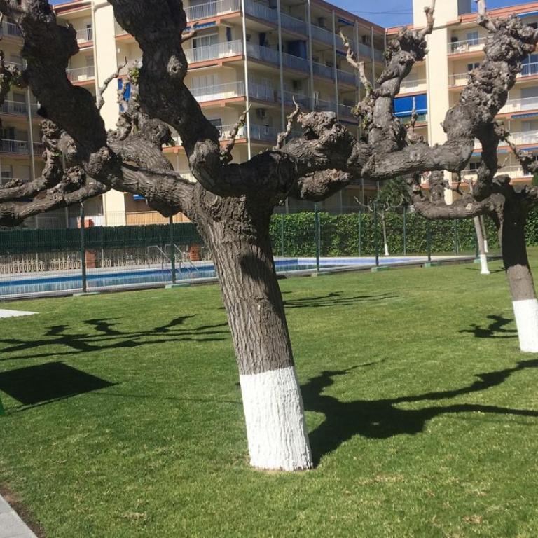 La Pineda III - One-Bedroom Apartment - 15