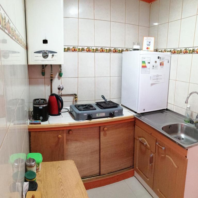 Bosque Valdiviano Apartment - Habitación Doble con baño privado - 11