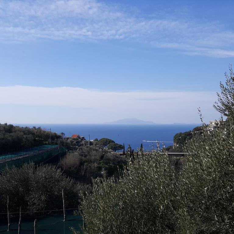 La Scaletta Casa Vacanze - Casa Vacanze - 24