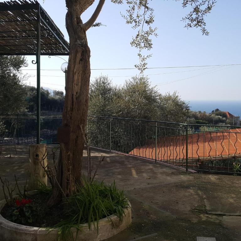 La Scaletta Casa Vacanze - Casa Vacanze - 23
