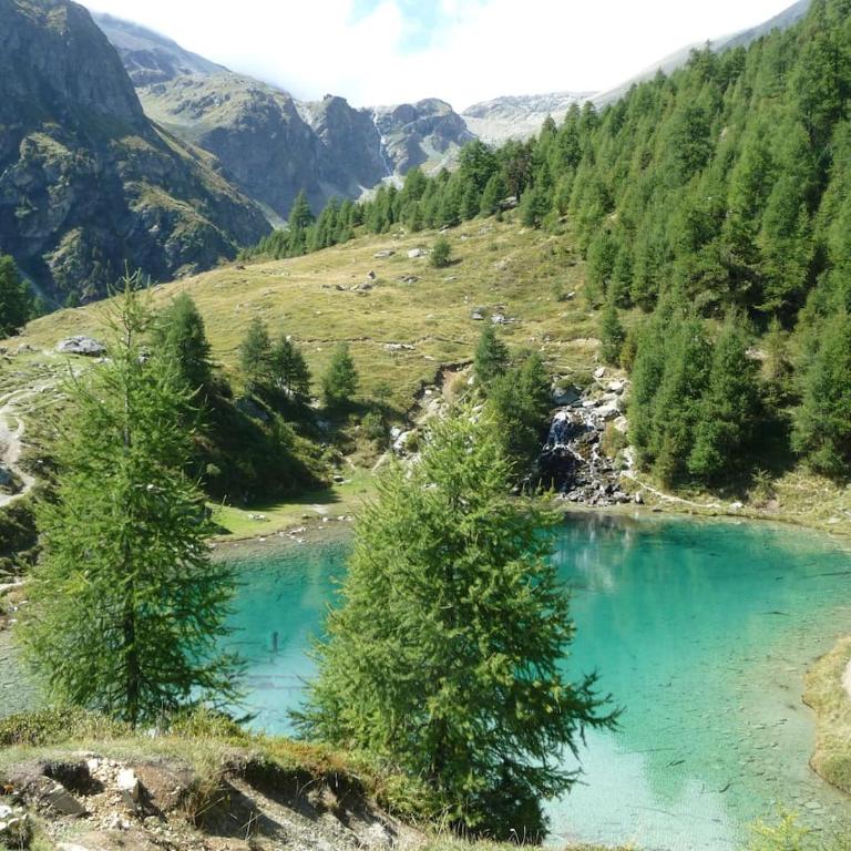 Chalet 12 Cerfs - Chalet - 32