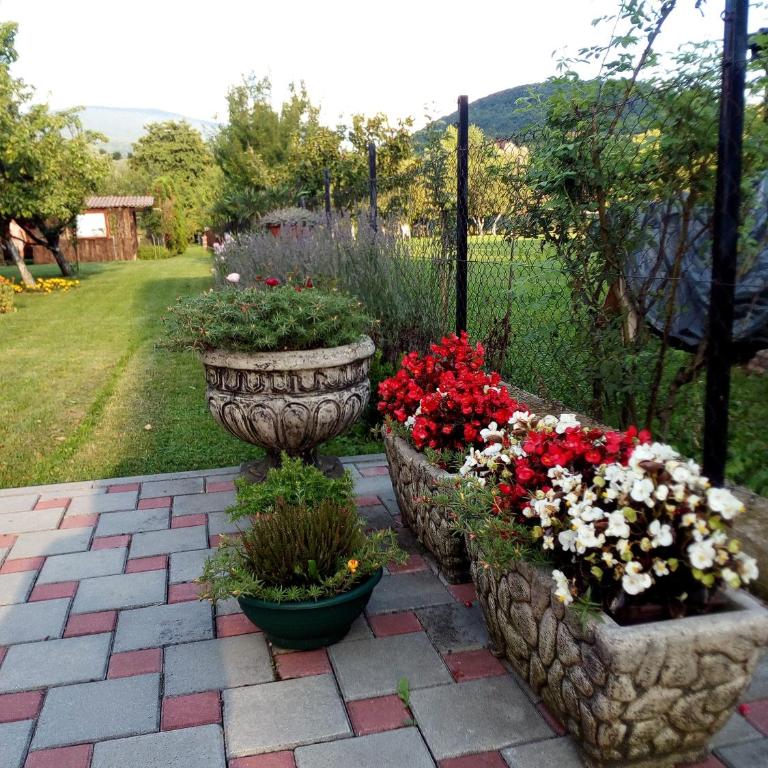 ENNI - Two-Bedroom House - 17