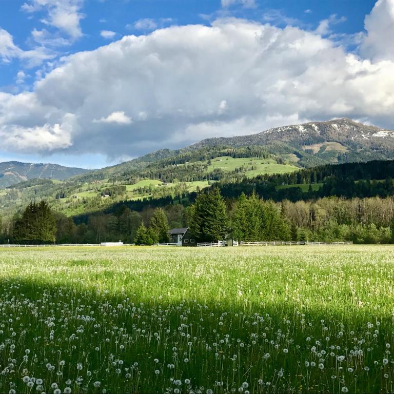 Traumhafte Wohnung auf Pferde Ranch - Appartamento con 1 Camera da Letto - 28
