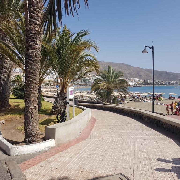 Torres Los Cristianos - Estudio Estándar - 6