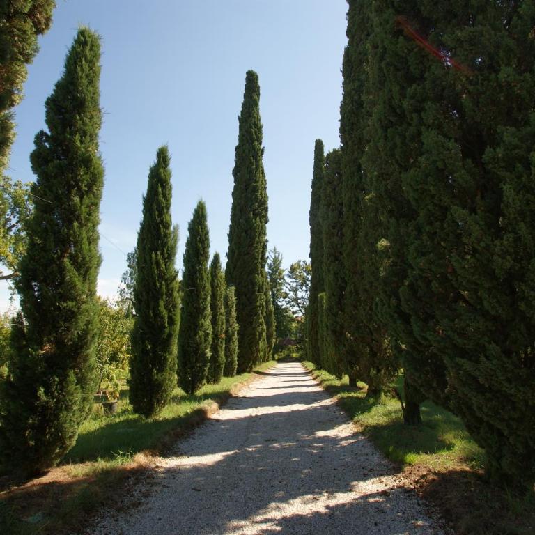 Villa Ghislanzoni - Appartamento con 3 Camere da Letto - 1