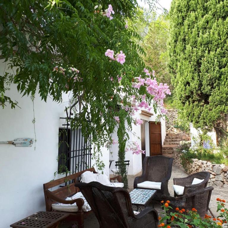 encantadora casa ibicenca - Villa - 17