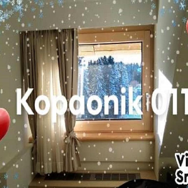 Kopaonik011 Konaci&WoodSide Apartments - Double Room - 11