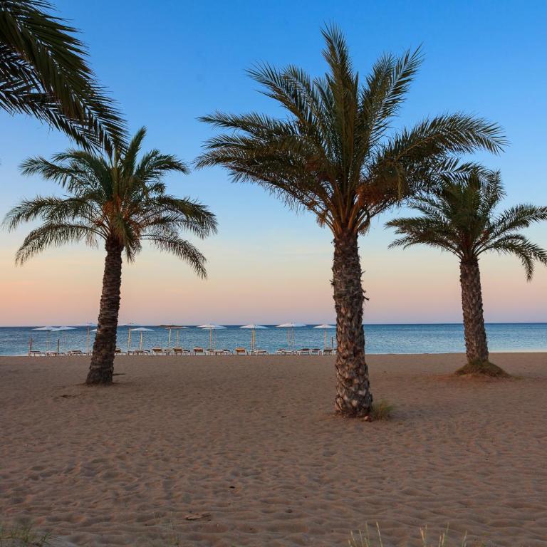 Apartamento playa con piscina y terraza en urbanizacion de lujo - Apartamento de 2 dormitorios - 24