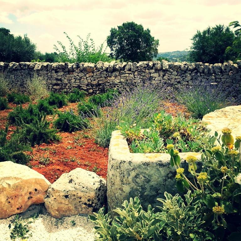 Masseria Sant'Elia - Junior Suite - 8