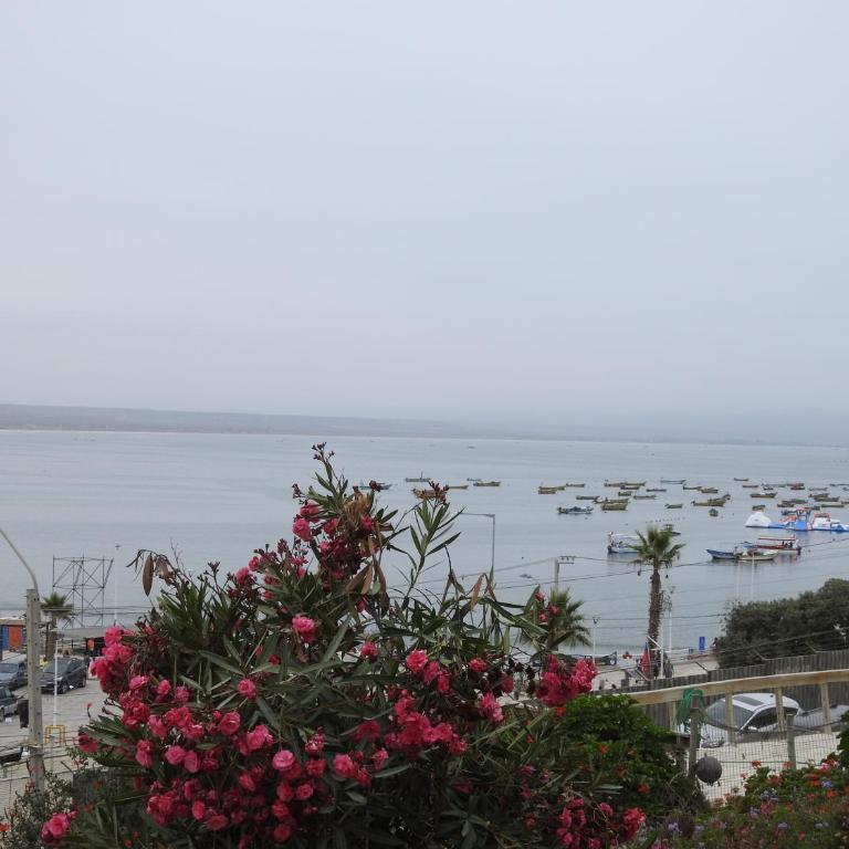 Agradable Casa en Condominio Prados del Mar Tongoy RENOVADA - Three-Bedroom Townhouse - 46
