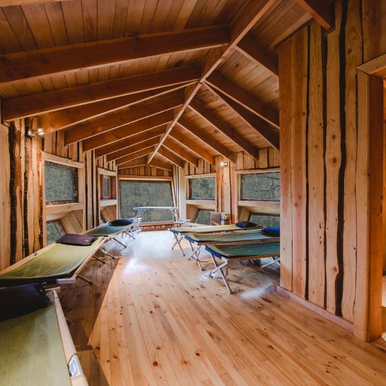 Huilo Huilo Canopy Village - Basic Bungalow (4 Adults) - 1