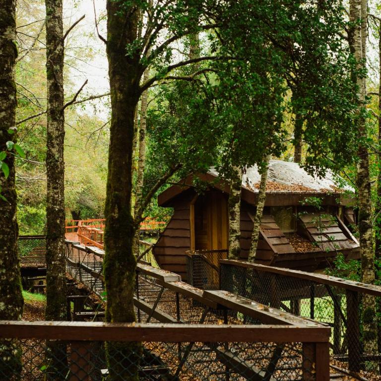 Huilo Huilo Canopy Village - Basic Bungalow with Private External Toilet (4 Adults) - 12